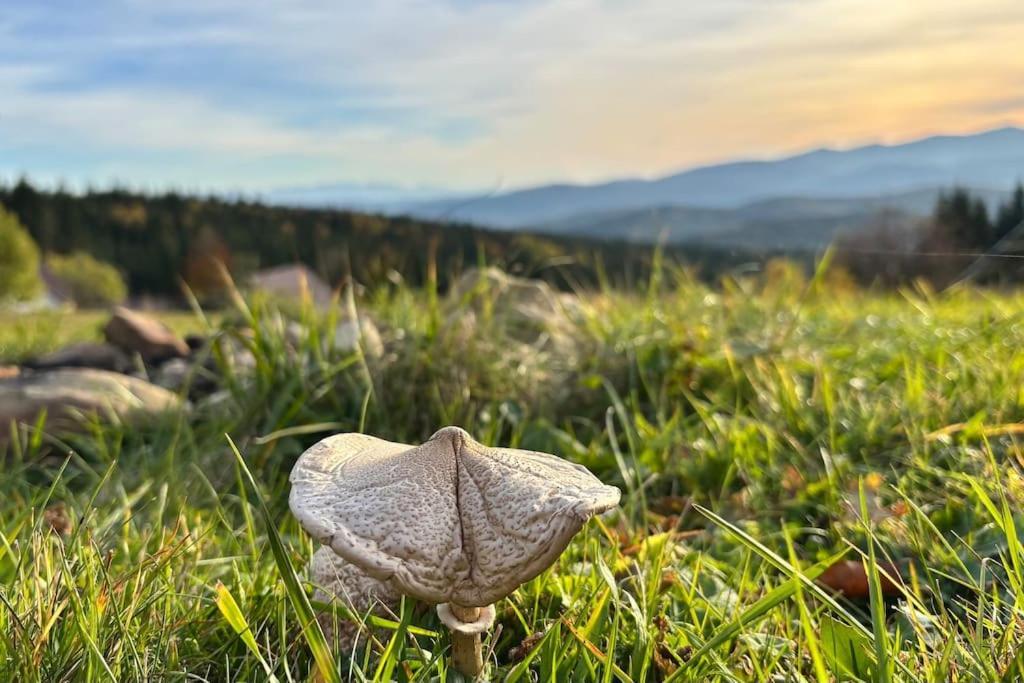 Вилла Blizej Nieba Koskowa Gora Bogdanowka Экстерьер фото