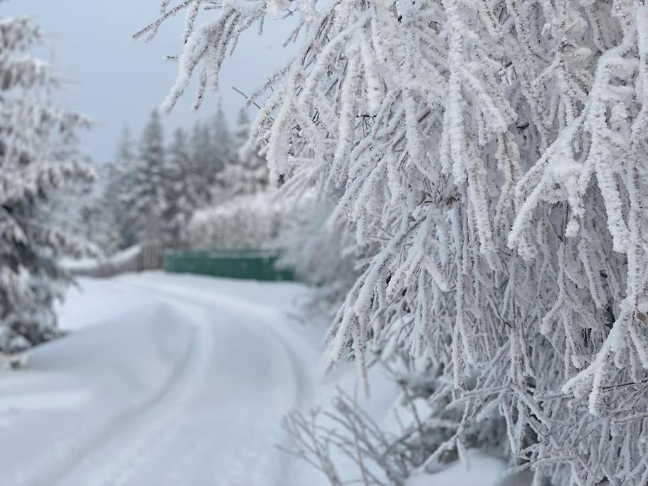Вилла Blizej Nieba Koskowa Gora Bogdanowka Экстерьер фото