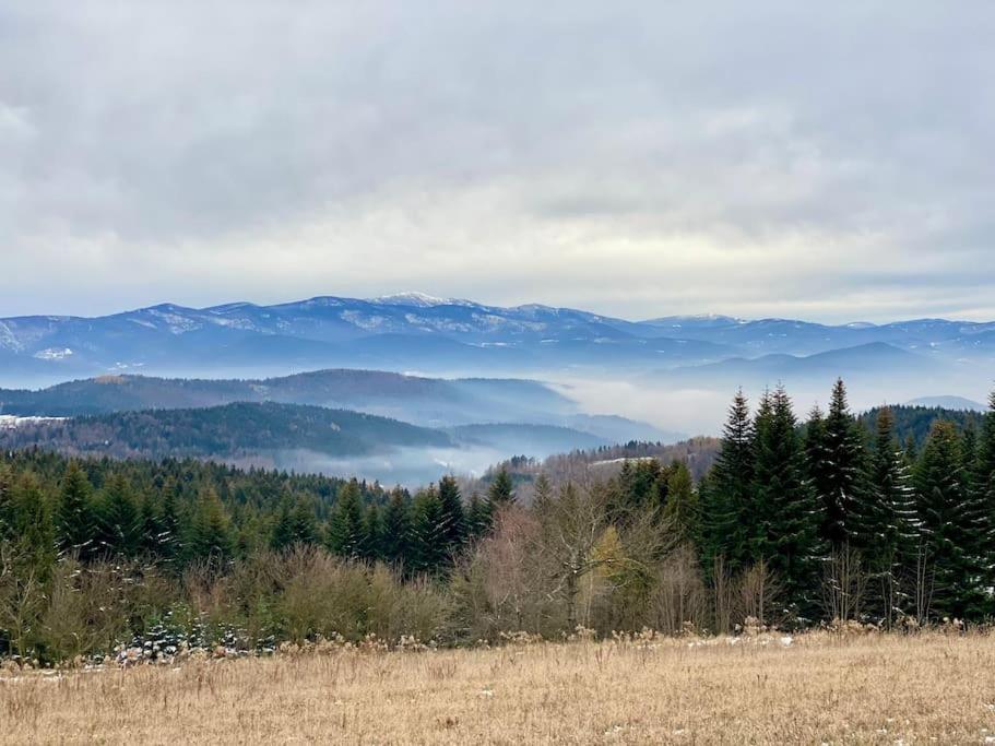 Вилла Blizej Nieba Koskowa Gora Bogdanowka Экстерьер фото