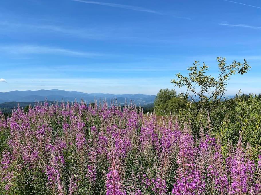 Вилла Blizej Nieba Koskowa Gora Bogdanowka Экстерьер фото