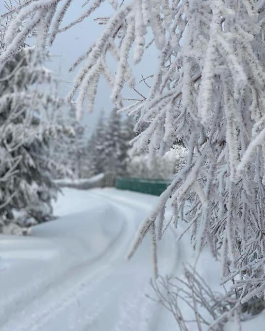 Вилла Blizej Nieba Koskowa Gora Bogdanowka Экстерьер фото